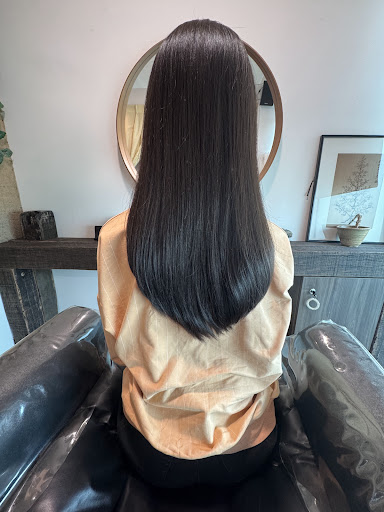 Elegance Space Pro Salon
