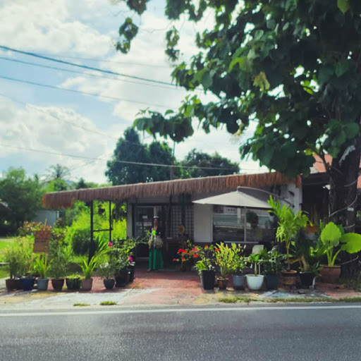 Little Latina Waxing Langkawi