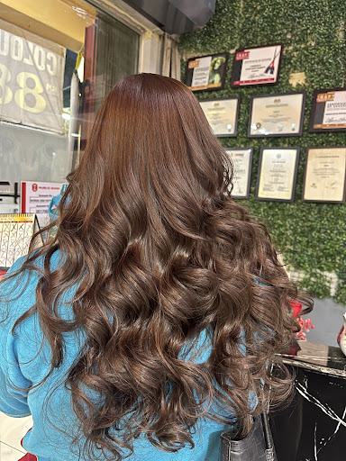 Top Cut Saloon